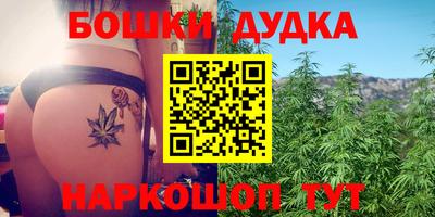 стаф Малгобек